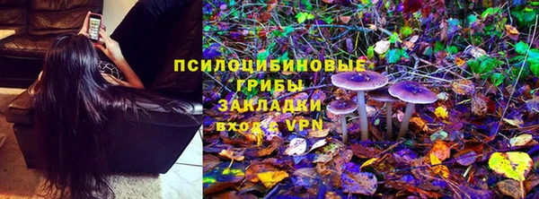 ГАЛЛЮЦИНОГЕННЫЕ ГРИБЫ Алзамай
