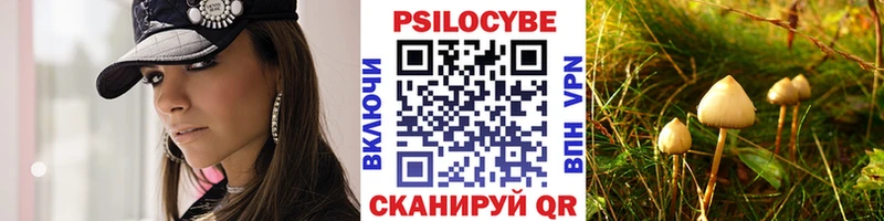 Псилоцибиновые грибы прущие грибы  Цивильск 